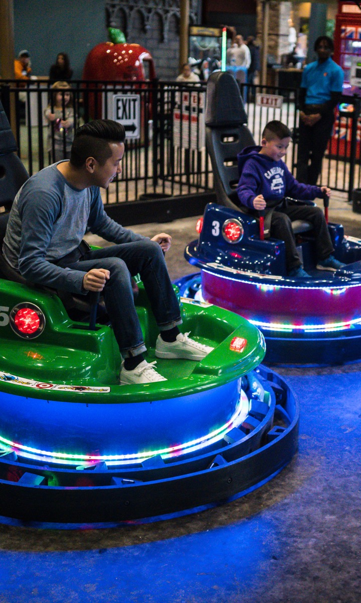 bumper cars adults