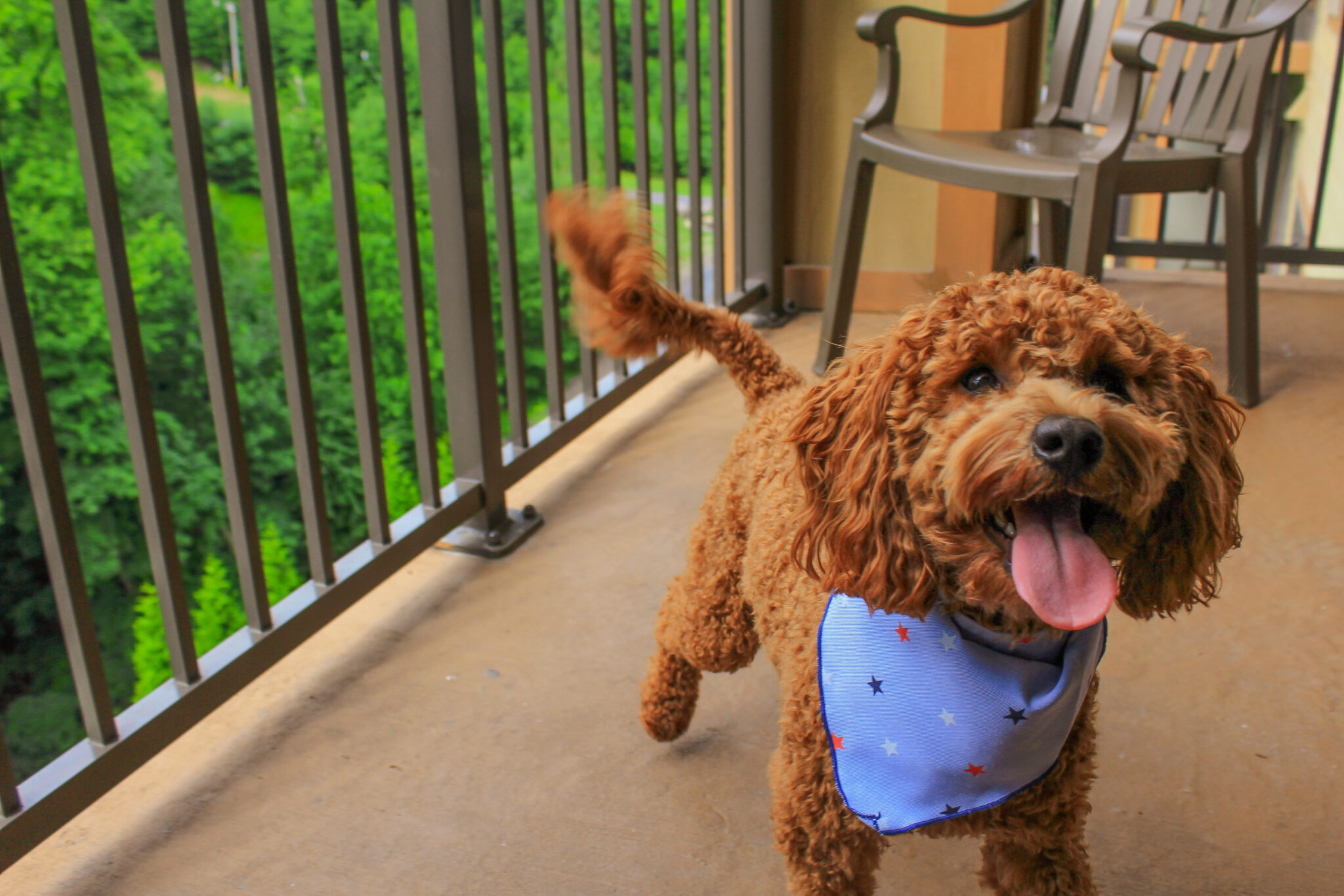 Pet-Friendly Poconos Resort | Camelback Mountain