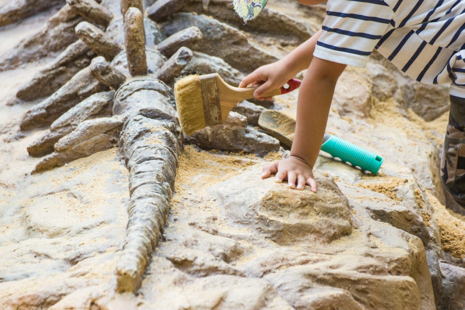 Dino Dig - Camelback