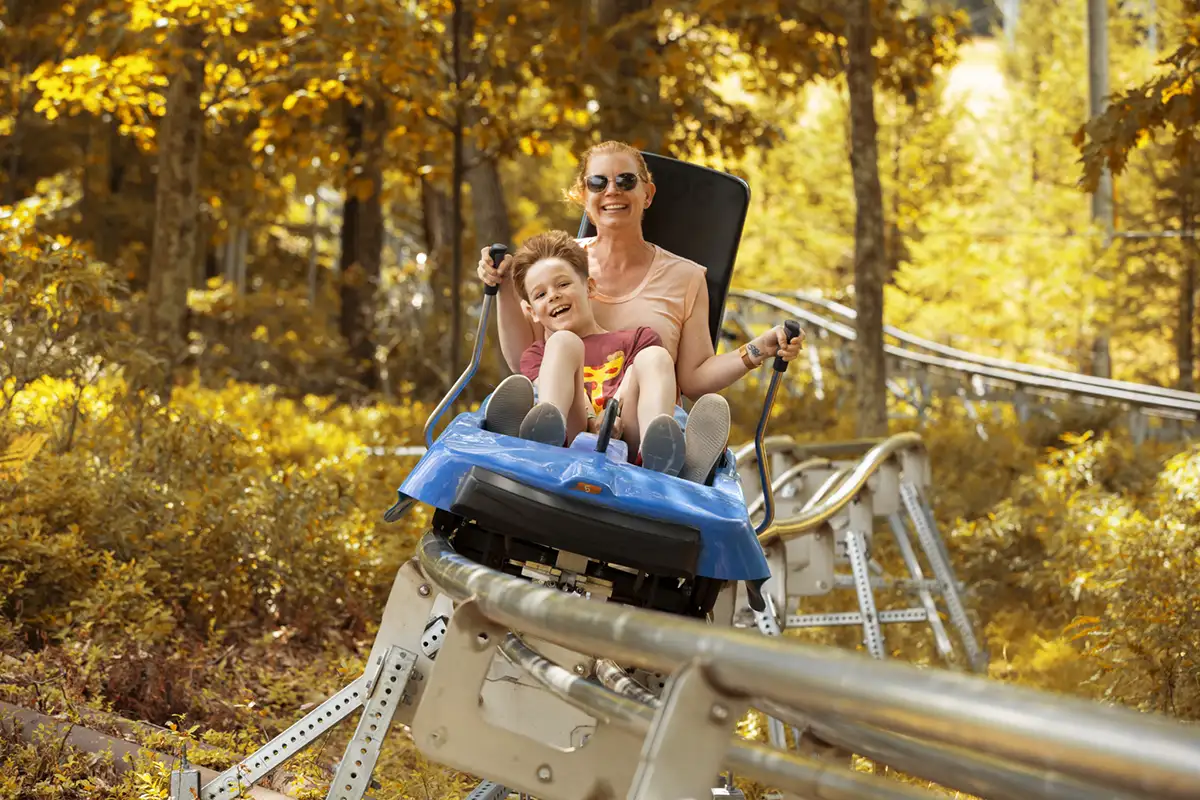 Mountain Coaster